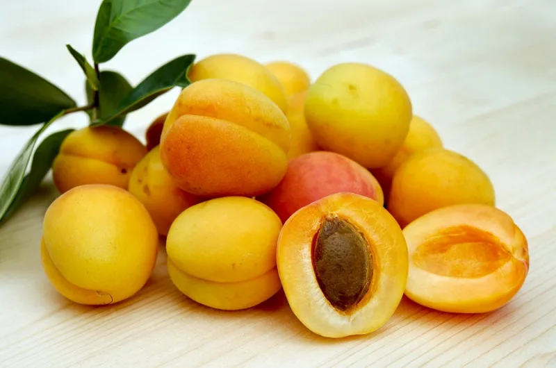 Ăn nhiều trái cây giàu kẽm có tốt không?